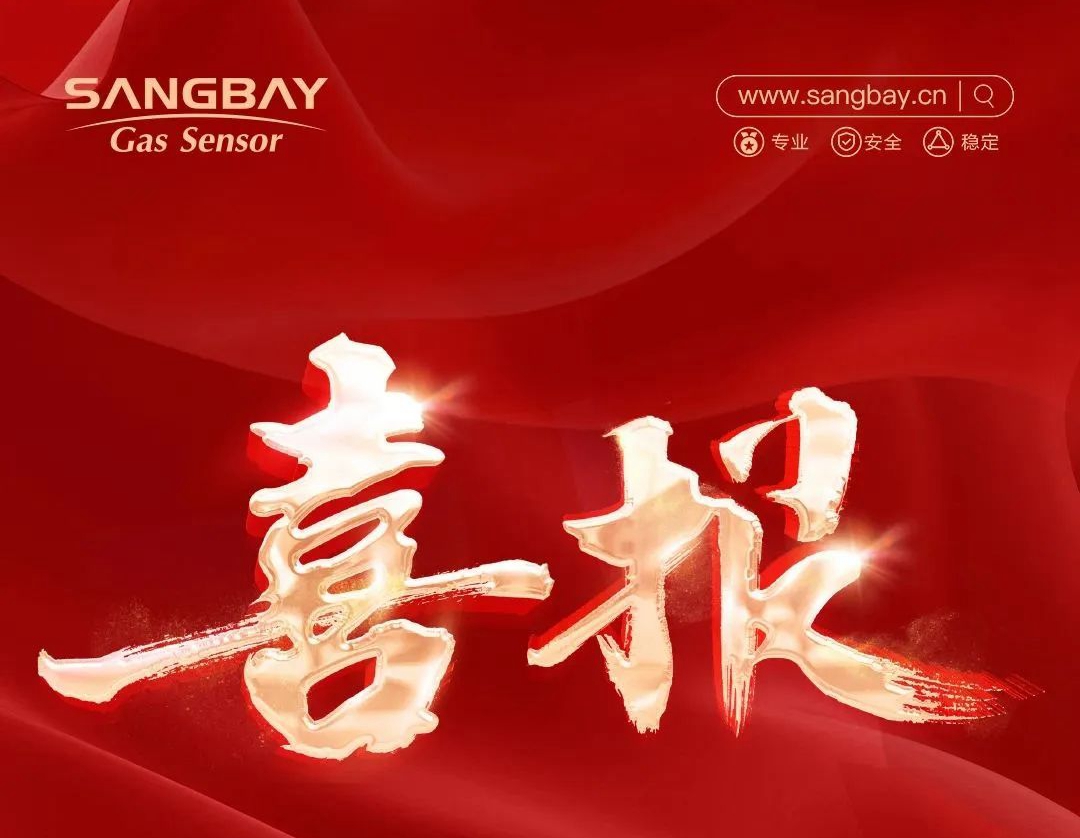 喜報(bào)｜上海松柏傳感獲評(píng)上海市專精特新中小企業(yè)，助力高質(zhì)量發(fā)展！