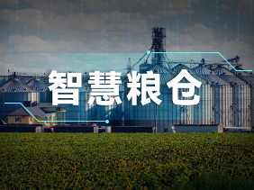 實時監(jiān)測+智能預警！松柏傳感氣體傳感器助力綠色儲糧